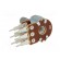 Potentiometer: shaft | single turn | 5kΩ | 63mW | ±20% | THT | 6mm | metal image 4