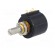 Potentiometer: shaft | multiturn | 5kΩ | 1.5W | ±3% | 6.35mm | linear paveikslėlis 2