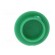 Cap | plastic | push-in | green | K21 paveikslėlis 5