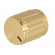 Knob | with pointer | aluminium,thermoplastic | Øshaft: 6mm | golden image 2