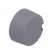Knob | with pointer | plastic | Øshaft: 6mm | Ø31x16mm | grey | push-in paveikslėlis 8