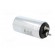 Capacitor: polypropylene | 30uF | Leads: screw M6 | ESR: 6mΩ | M8 screw image 4