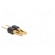 Adapter | pin strips | PIN: 2 | straight | 2.54mm | THT,soldering | 1x2 paveikslėlis 4