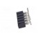 Socket | pin strips | female | PIN: 5 | turned contacts | vertical | SMT image 3