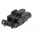 Plug | wire-wire/PCB | female | Mini-Fit Sr | 10mm | PIN: 2 | 600V image 6