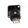 Adapter | USB A socket-back,USB B socket-front | FT | USB 2.0 image 5