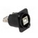 Adapter | USB A socket-back,USB B socket-front | FT | USB 2.0 image 8