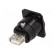 Adapter | USB A socket-back,USB B socket-front | FT | USB 2.0 image 6