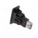 Adapter | USB A socket,both sides | SLIM | USB 3.0 | gold-plated image 4