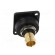 Coupler | BNC socket,both sides | FT | gold-plated | plastic | 19x24mm image 5