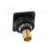 Coupler | BNC socket,both sides | FT | gold-plated | plastic | 19x24mm фото 5