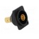 Coupler | BNC socket,both sides | FT | gold-plated | plastic | 19x24mm image 8