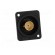 Coupler | BNC socket,both sides | FT | gold-plated | plastic | 19x24mm фото 9