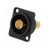 Coupler | BNC socket,both sides | FT | gold-plated | plastic | 19x24mm фото 1