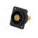 Coupler | BNC socket,both sides | FT | gold-plated | plastic | 19x24mm image 2