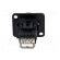 Coupler | USB A socket,USB B socket | FT | USB 2.0 | plastic | 19x24mm фото 5