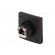 Coupler | Buccaneer Ethernet | PIN: 8 | Contacts: phosphor bronze фото 7