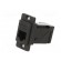 Coupler | DUALSLIM | Cat: 5e | Layout: 8p8c | RJ45 socket,both sides image 2