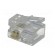 Plug | RJ12 | PIN: 6 | Contacts: phosphor bronze | gold-plated | UL94V-2 image 4