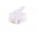 Plug | RJ12 | PIN: 6 | unshielded | gold-plated | Layout: 6p6c | crimped image 2