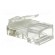 Plug | RJ45 | PIN: 8 | Cat: 5e | unshielded | Layout: 8p8c | for cable | male image 4