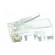 Plug | RJ45 | PIN: 8 | unshielded | gold-plated | Layout: 8p8c | 26AWG | IDC image 3