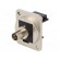 Connector: fiber optic | coupler | ST,both sides | Mat: metal image 1