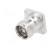 Connector: 4.3-10 | female | flange (2 holes),for panel mounting paveikslėlis 2