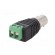 Adapter | BNC female,terminal block | PIN: 2 image 6