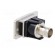 Coupler | BNC socket,both sides | 50Ω | silver | Mat: metal | DUALSLIM image 4