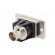 Coupler | BNC socket,both sides | 50Ω | silver | Mat: metal | DUALSLIM image 6