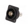 Coupler | BNC socket,both sides | 75Ω | black | Series: FT | 19x24mm image 2