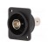 Coupler | BNC socket,both sides | 75Ω | black | Series: FT | 19x24mm image 1