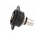 Coupler | BNC socket,both sides | 75Ω | black | Series: FT | 19x24mm image 3