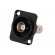 Coupler | BNC socket,both sides | insulated | 50Ω | black | Series: FT фото 2