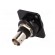 Coupler | BNC socket,both sides | insulated | 50Ω | black | Series: FT фото 6