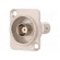 Coupler | BNC socket,both sides | insulated | 50Ω | silver | Series: FT фото 1
