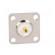 Socket | UHF (SO-239) | female | straight | soldering | 18x18mm image 5