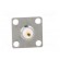 Socket | TNC | female | straight | 50Ω | soldering | PTFE | gold-plated paveikslėlis 6
