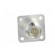 Coupler | N socket x2 | 50Ω | flange (4 holes),for panel mounting фото 5