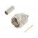 Plug | F | male | straight | 75Ω | soldering,crimped | for cable | PTFE image 1