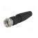 Plug | F | male | straight | 7mm | screw terminal | for cable image 2