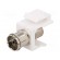 Adapter | socket | F socket,coaxial 9.5mm socket | female x2 | white paveikslėlis 1