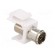 Adapter | socket | F socket,coaxial 9.5mm socket | female x2 | white paveikslėlis 8