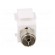 Adapter | socket | F socket,coaxial 9.5mm socket | female x2 | white paveikslėlis 9