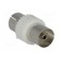Coupler | coaxial 9.5mm socket,both sides | straight image 4