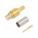 Plug | coaxial | female | straight | 50Ω | soldering,crimped | for cable фото 1