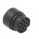 Connector: circular | male | UIC558 | PIN: 13 | for cable | crimped | 60V image 4