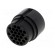 Connector: circular | male | UIC558 | PIN: 22 | for cable | crimped | 60V paveikslėlis 6