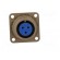 Connector: circular | Series: 97 | socket,plug | female | PIN: 3 | 13A image 9